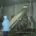 Automatic Fruit and Vegetable Processing Machines